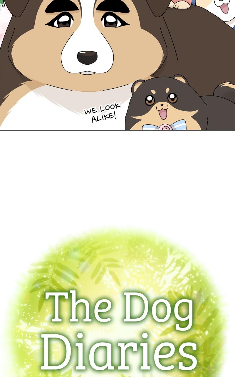 The Dog Diaries Chap 158 - Next Chap 159