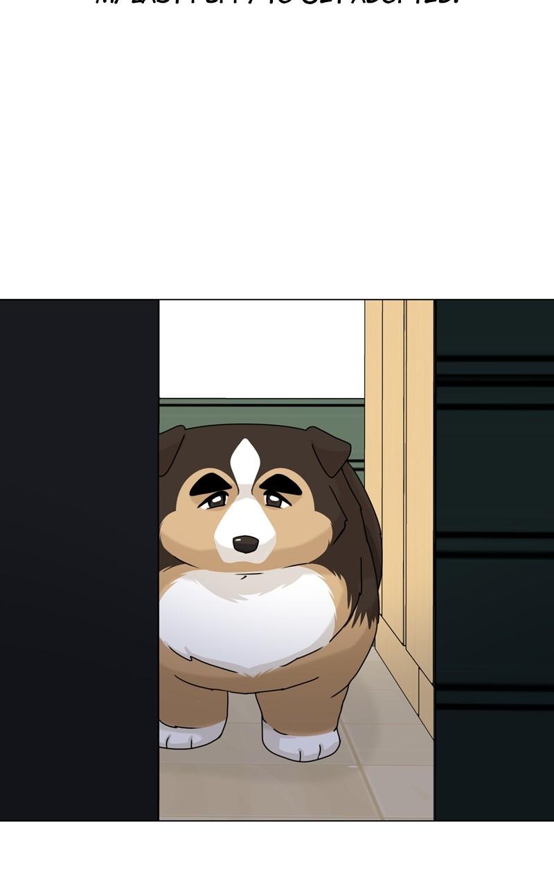 The Dog Diaries Chap 159 - Next Chap 160