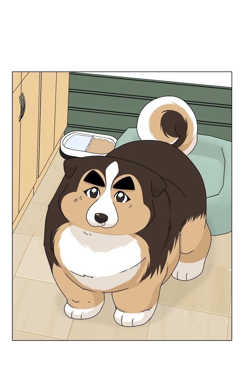 The Dog Diaries Chap 159 - Next Chap 160