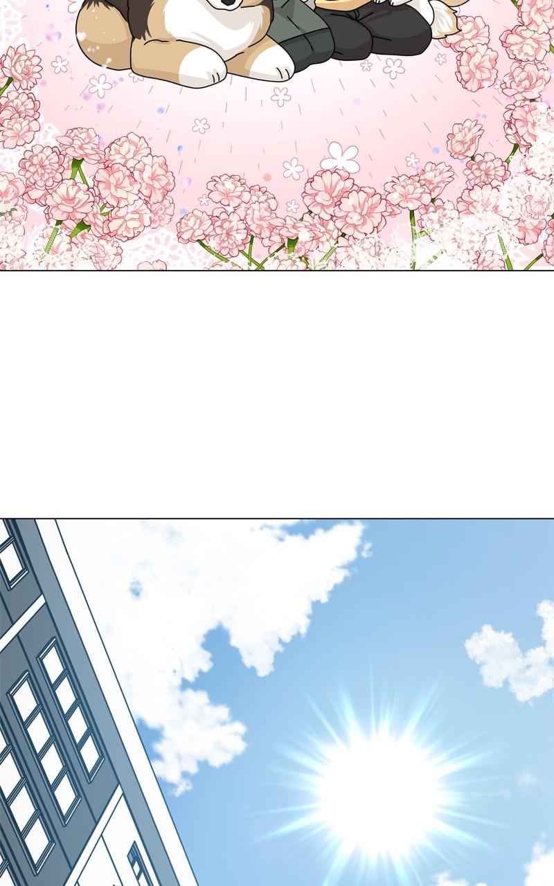 The Dog Diaries Chap 160 - Next Chap 161