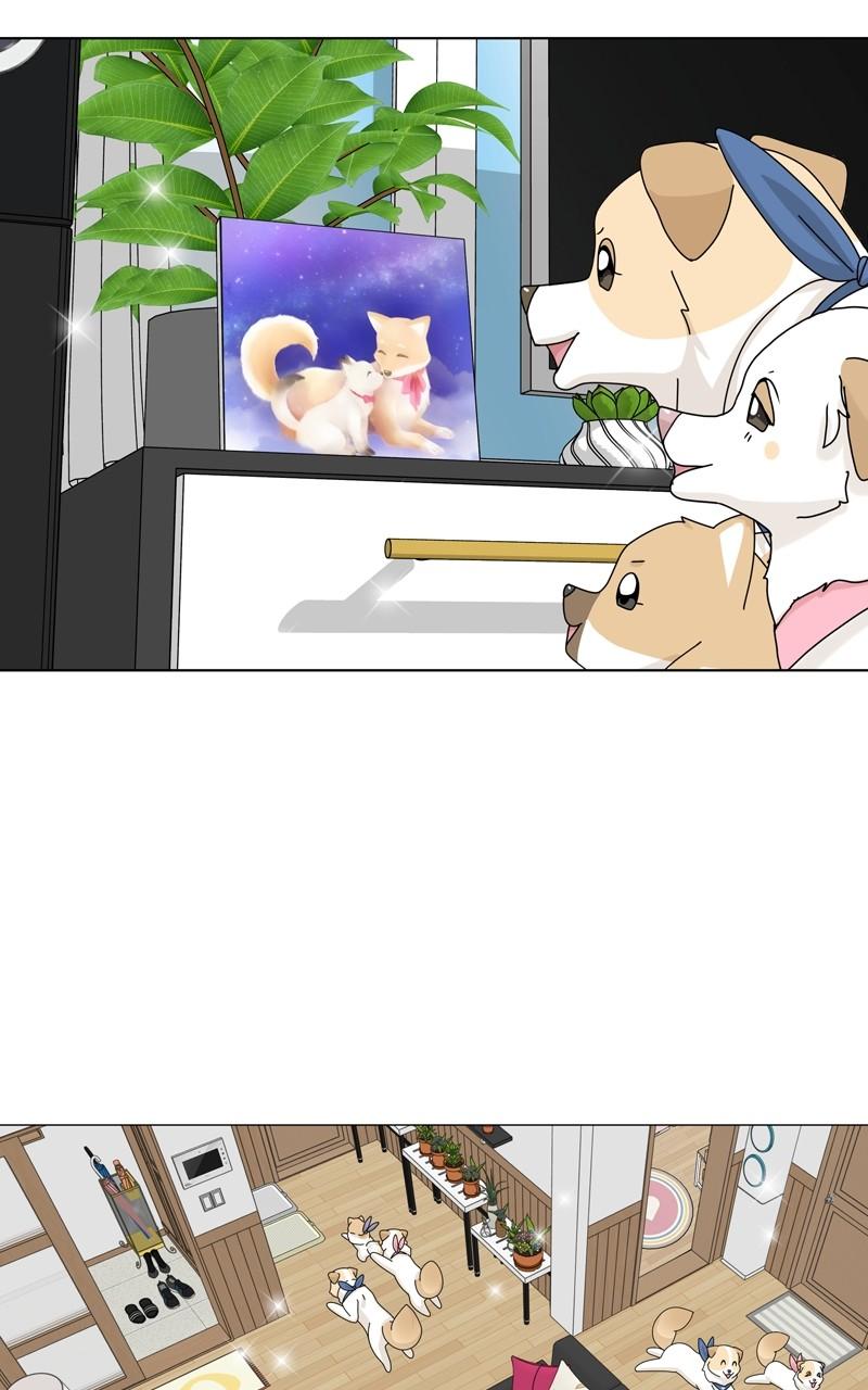 The Dog Diaries Chap 160 - Next Chap 161