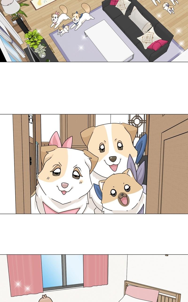 The Dog Diaries Chap 160 - Next Chap 161