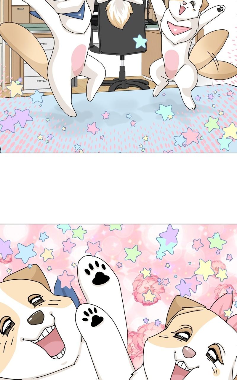 The Dog Diaries Chap 160 - Next Chap 161