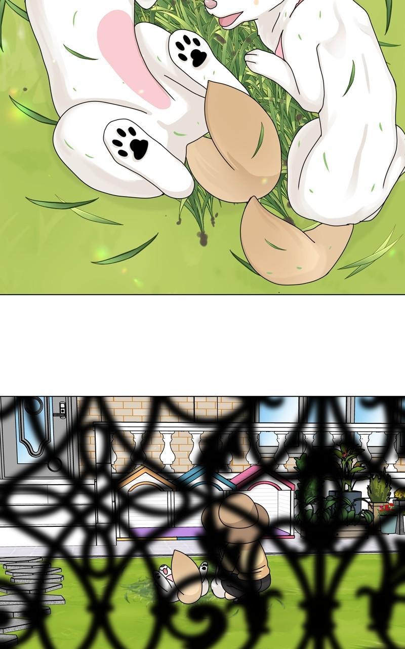 The Dog Diaries Chap 160 - Next Chap 161