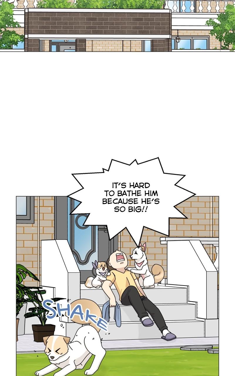 The Dog Diaries Chap 161 - Next Chap 162