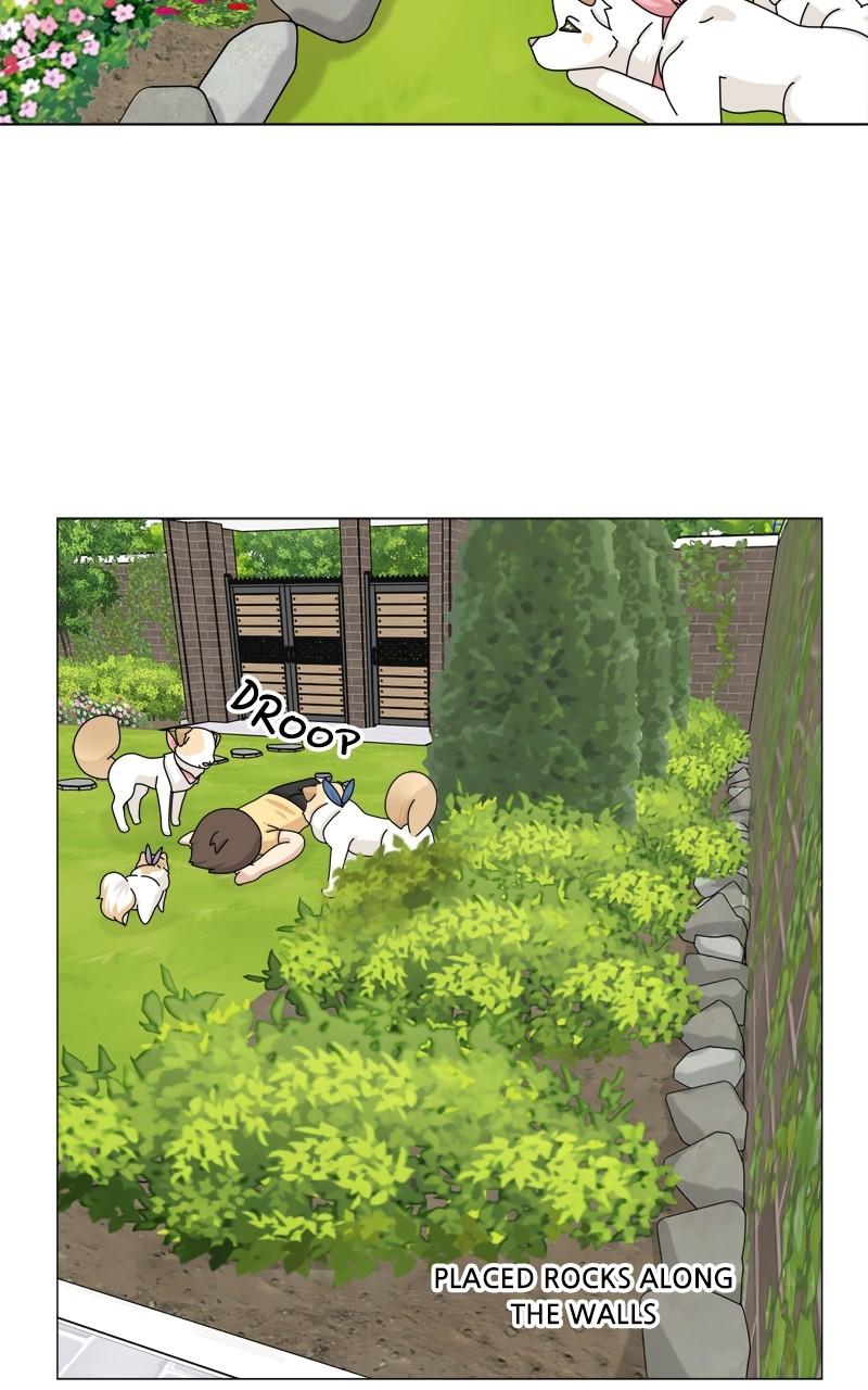 The Dog Diaries Chap 161 - Next Chap 162