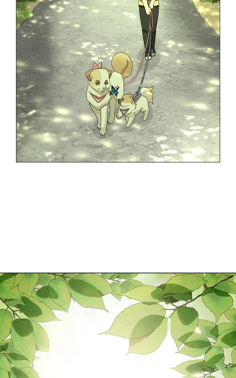 The Dog Diaries Chap 161 - Next Chap 162