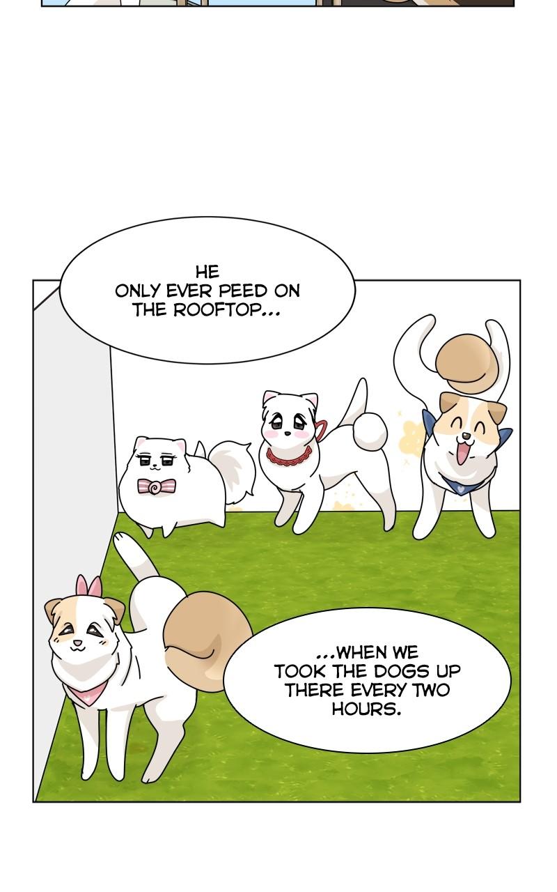 The Dog Diaries Chap 175 - Next Chap 176