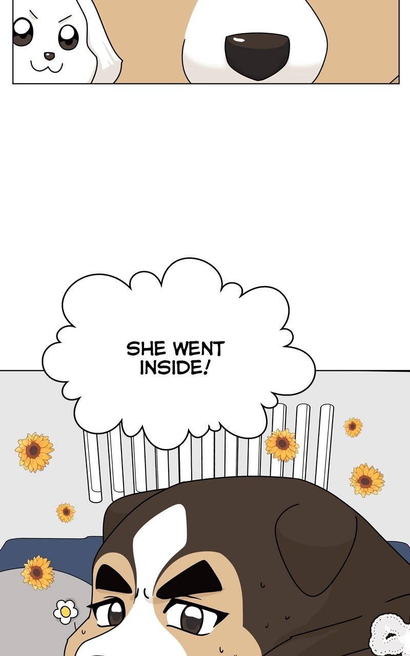 The Dog Diaries Chap 172 - Next Chap 173