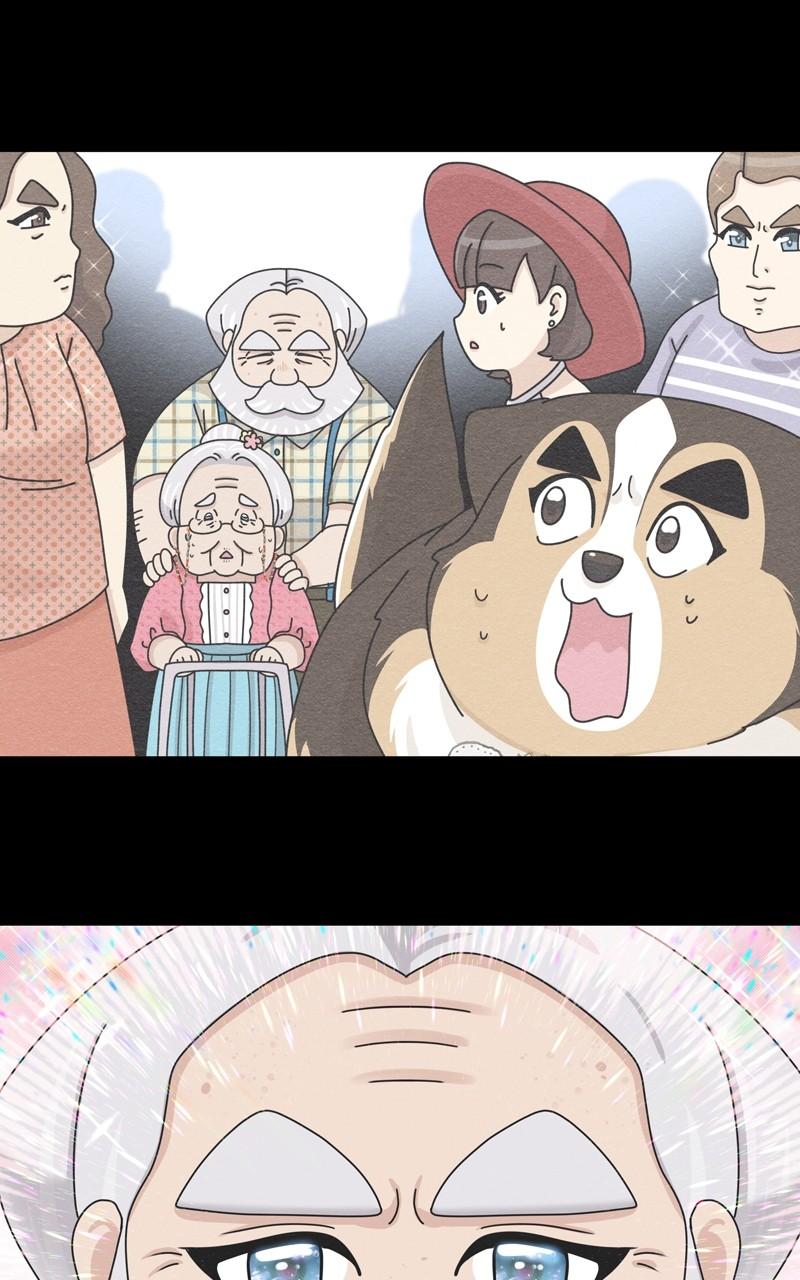 The Dog Diaries Chap 173 - Next Chap 174