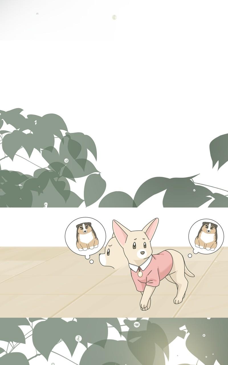 The Dog Diaries Chap 173 - Next Chap 174