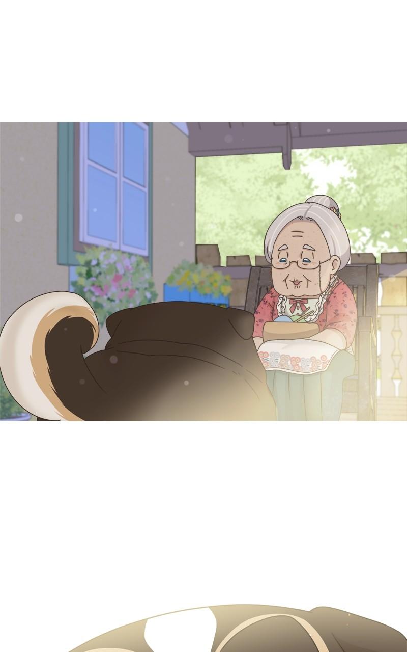 The Dog Diaries Chap 173 - Next Chap 174