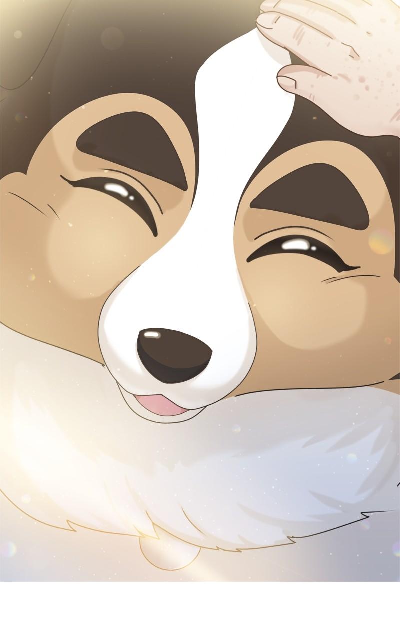 The Dog Diaries Chap 173 - Next Chap 174