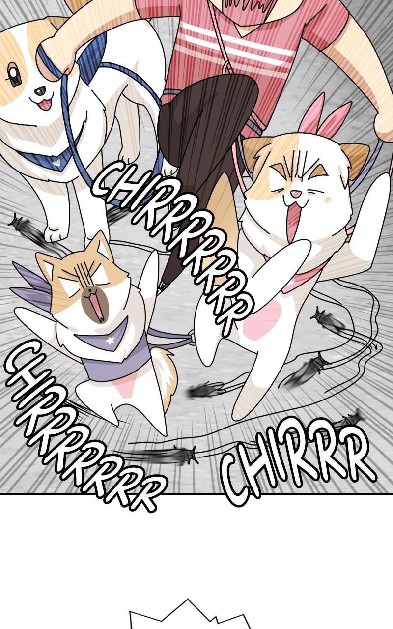 The Dog Diaries Chap 174 - Next Chap 175