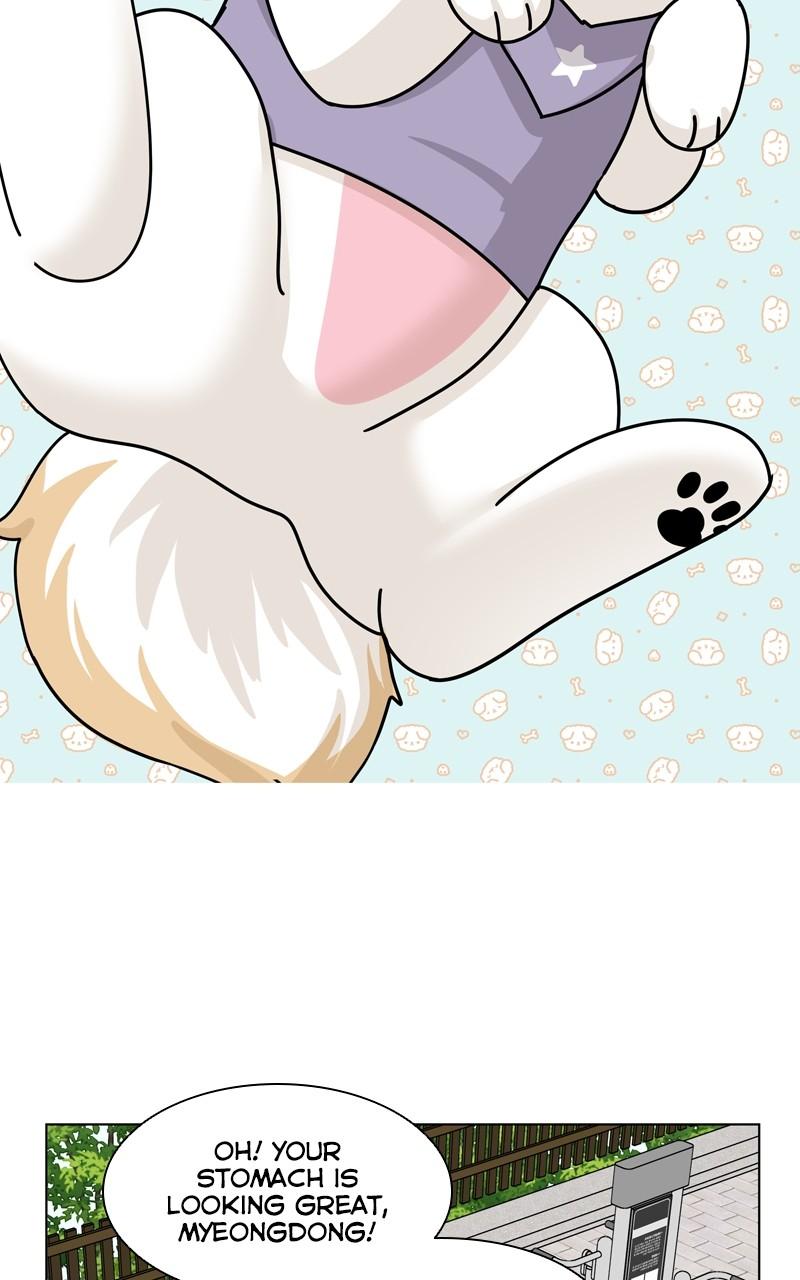 The Dog Diaries Chap 174 - Next Chap 175