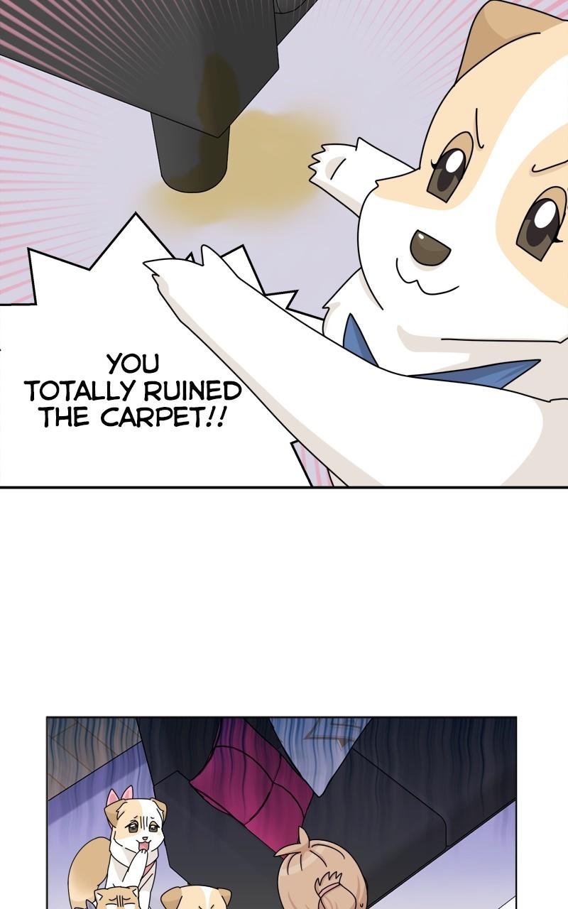 The Dog Diaries Chap 174 - Next Chap 175