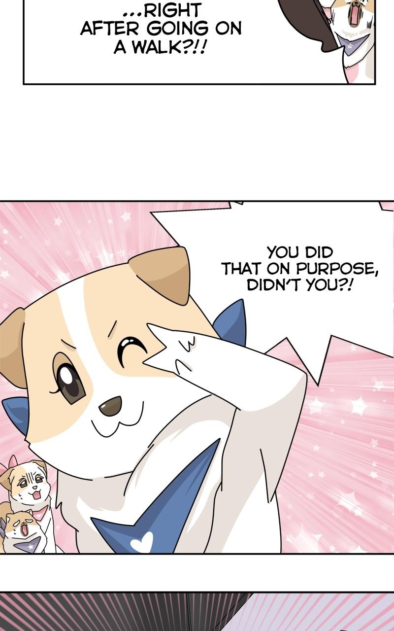 The Dog Diaries Chap 174 - Next Chap 175