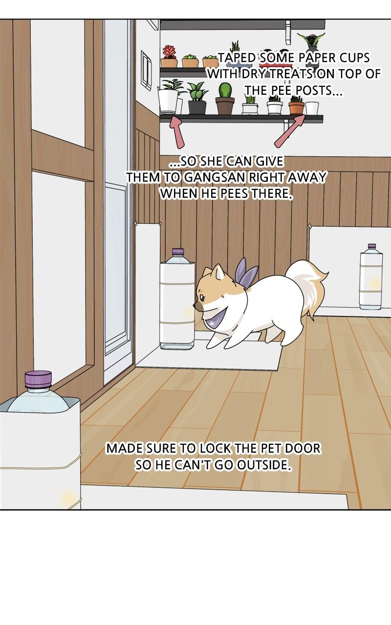 The Dog Diaries Chap 176 - Next Chap 177