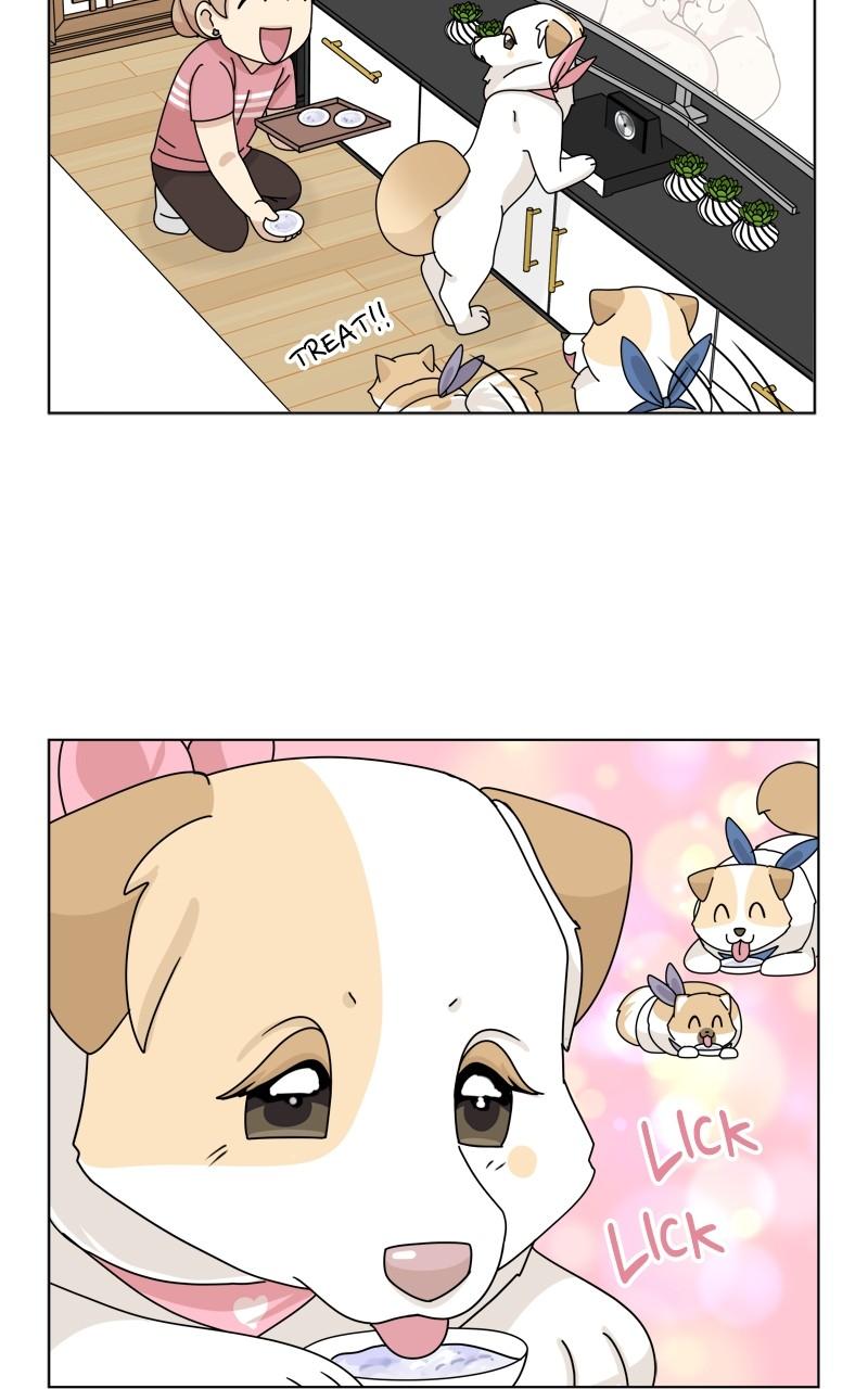 The Dog Diaries Chap 176 - Next Chap 177