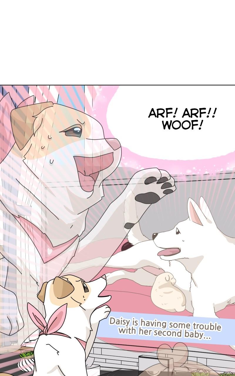 The Dog Diaries Chap 176 - Next Chap 177