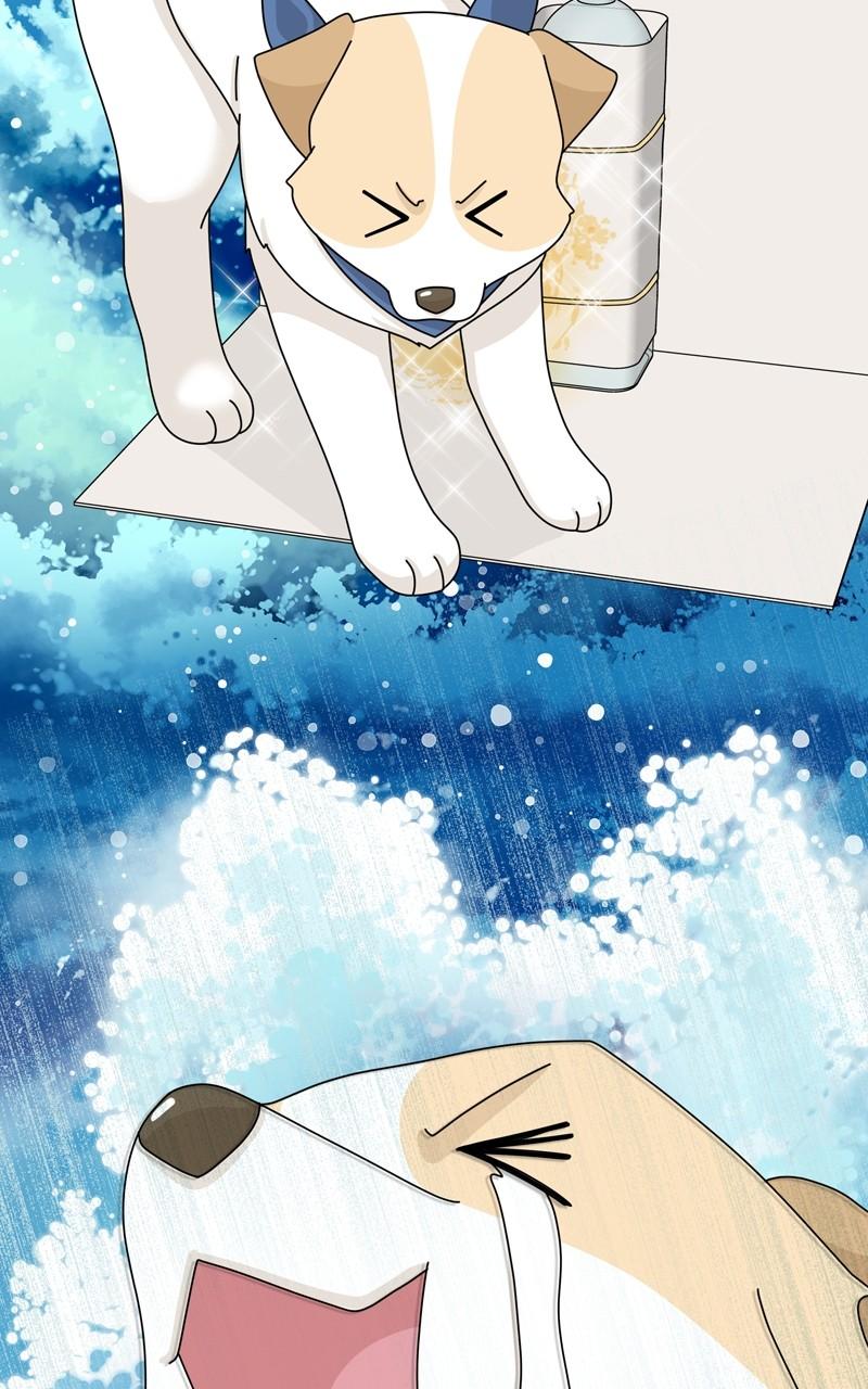 The Dog Diaries Chap 176 - Next Chap 177