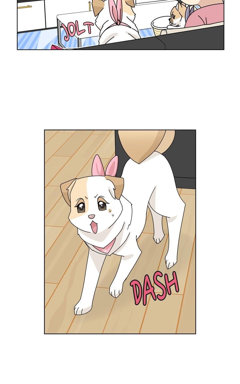 The Dog Diaries Chap 176 - Next Chap 177