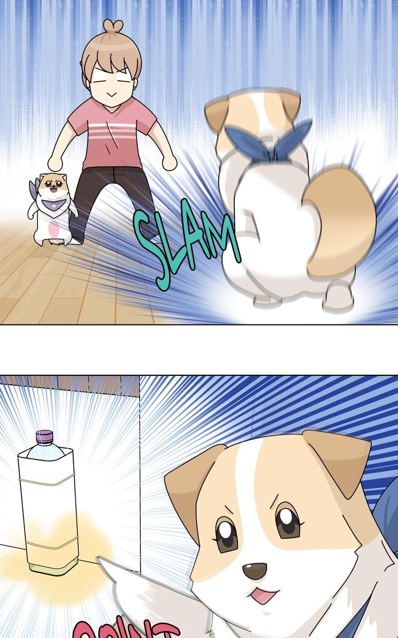 The Dog Diaries Chap 176 - Next Chap 177