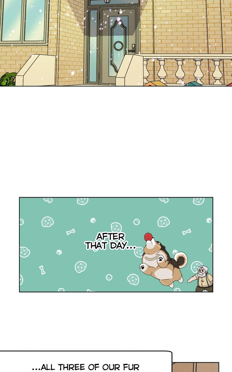 The Dog Diaries Chap 176 - Next Chap 177