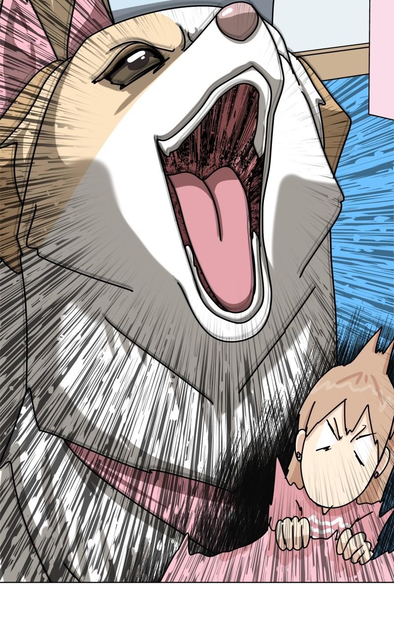 The Dog Diaries Chap 176 - Next Chap 177