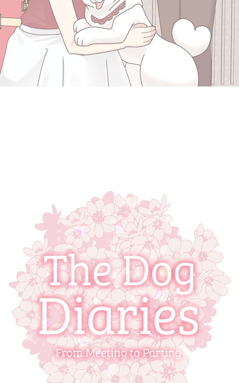 The Dog Diaries Chap 177 - Next Chap 178