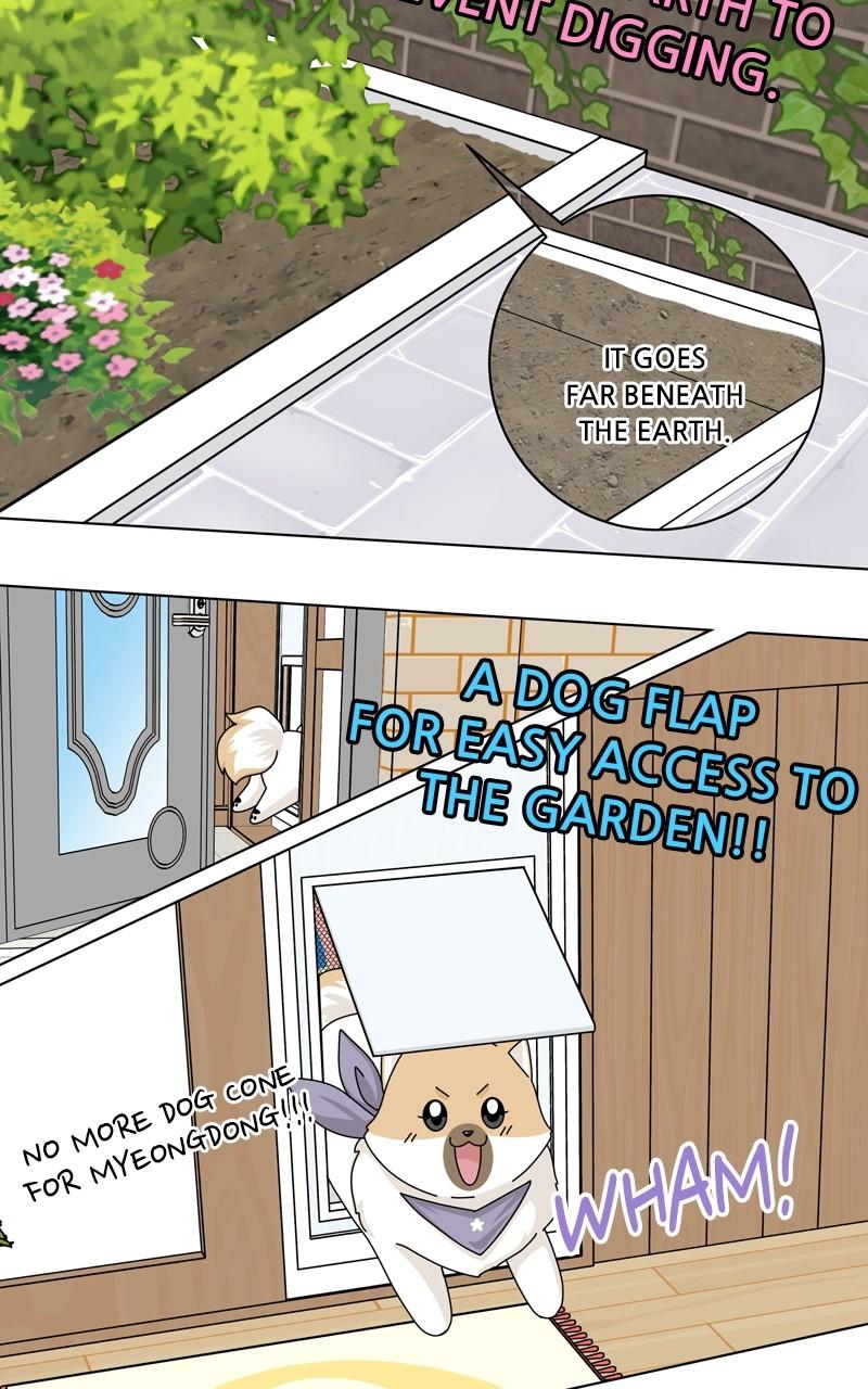 The Dog Diaries Chap 168 - Next Chap 169