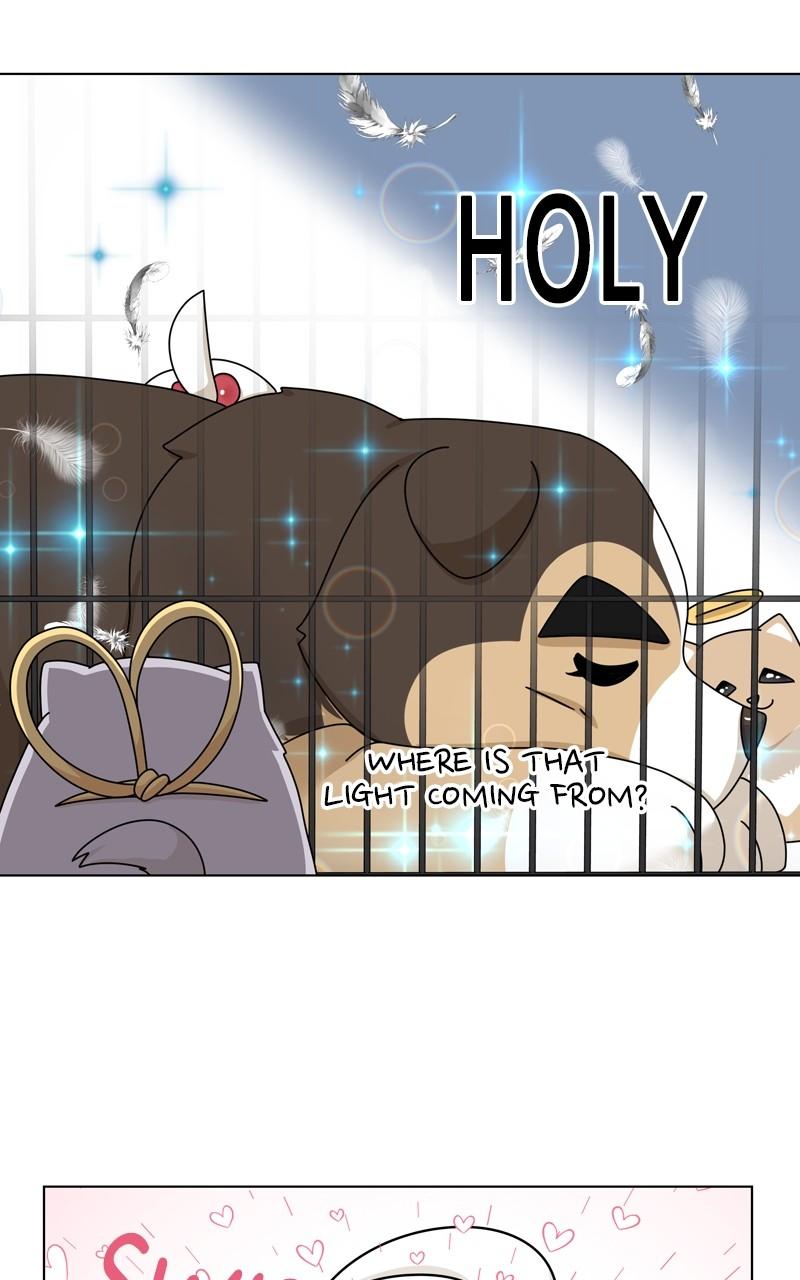 The Dog Diaries Chap 168 - Next Chap 169