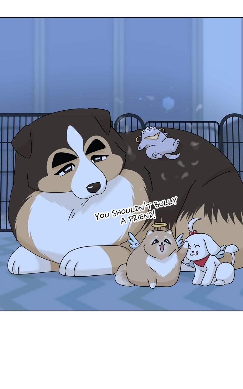 The Dog Diaries Chap 169 - Next Chap 170