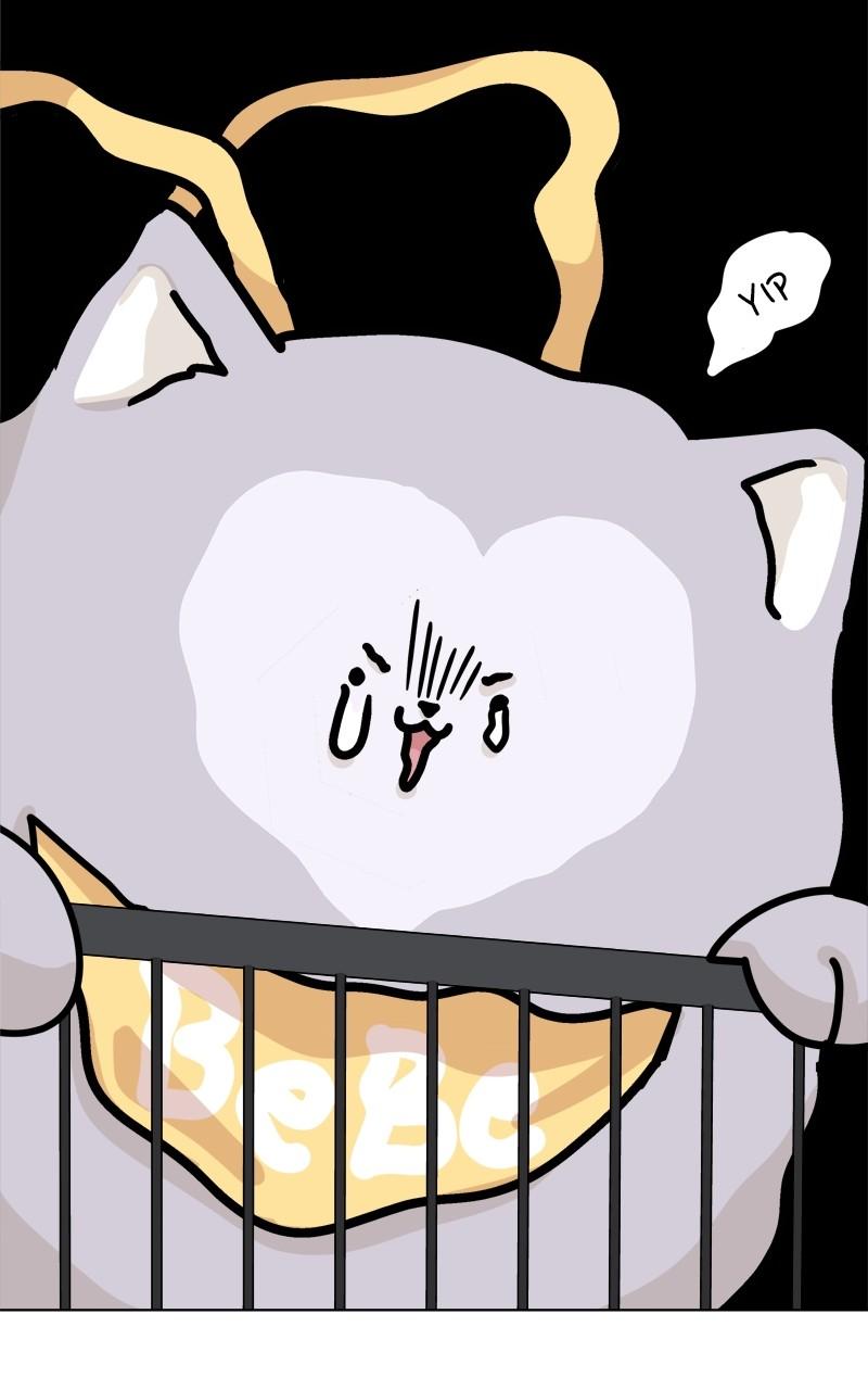 The Dog Diaries Chap 169 - Next Chap 170