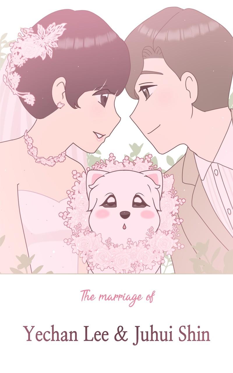 The Dog Diaries Chap 169 - Next Chap 170
