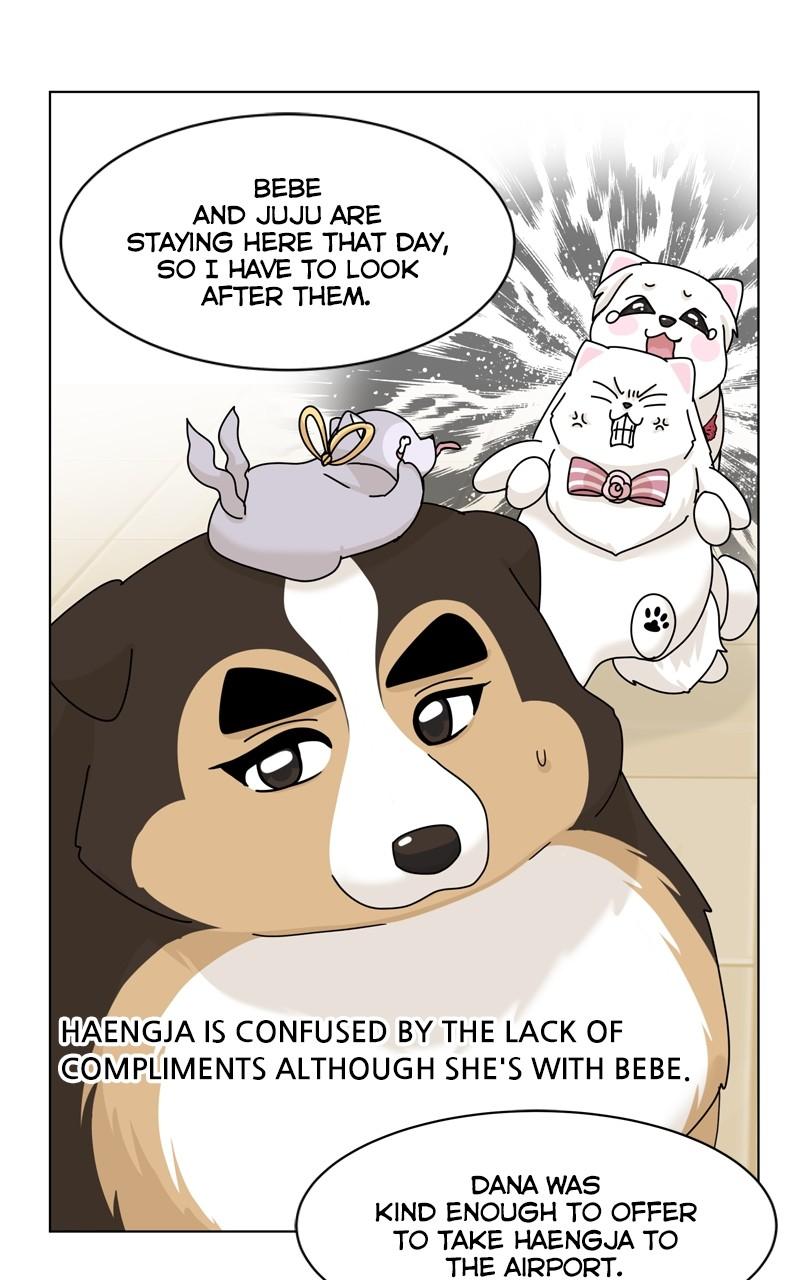 The Dog Diaries Chap 170 - Next Chap 171