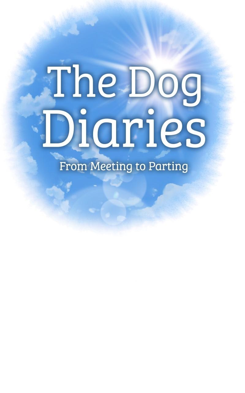 The Dog Diaries Chap 170 - Next Chap 171