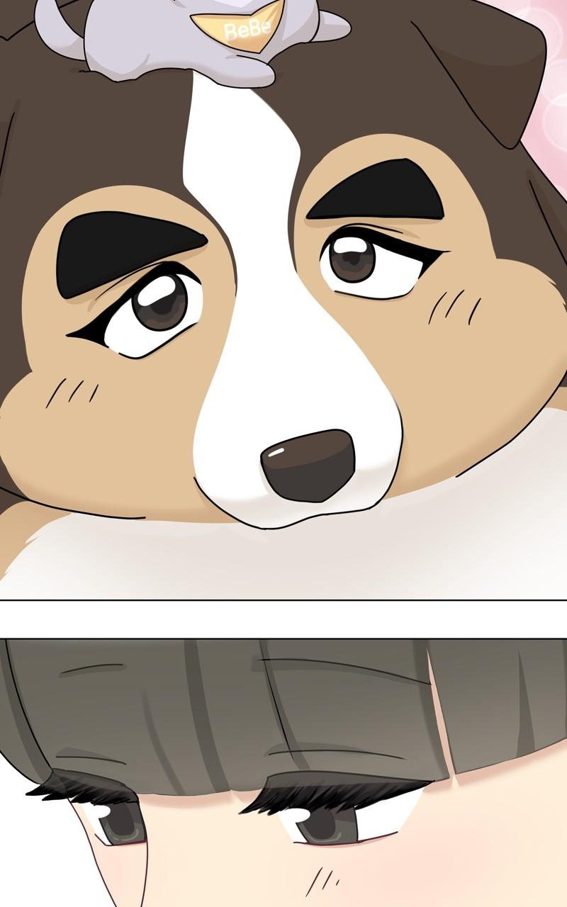 The Dog Diaries Chap 170 - Next Chap 171