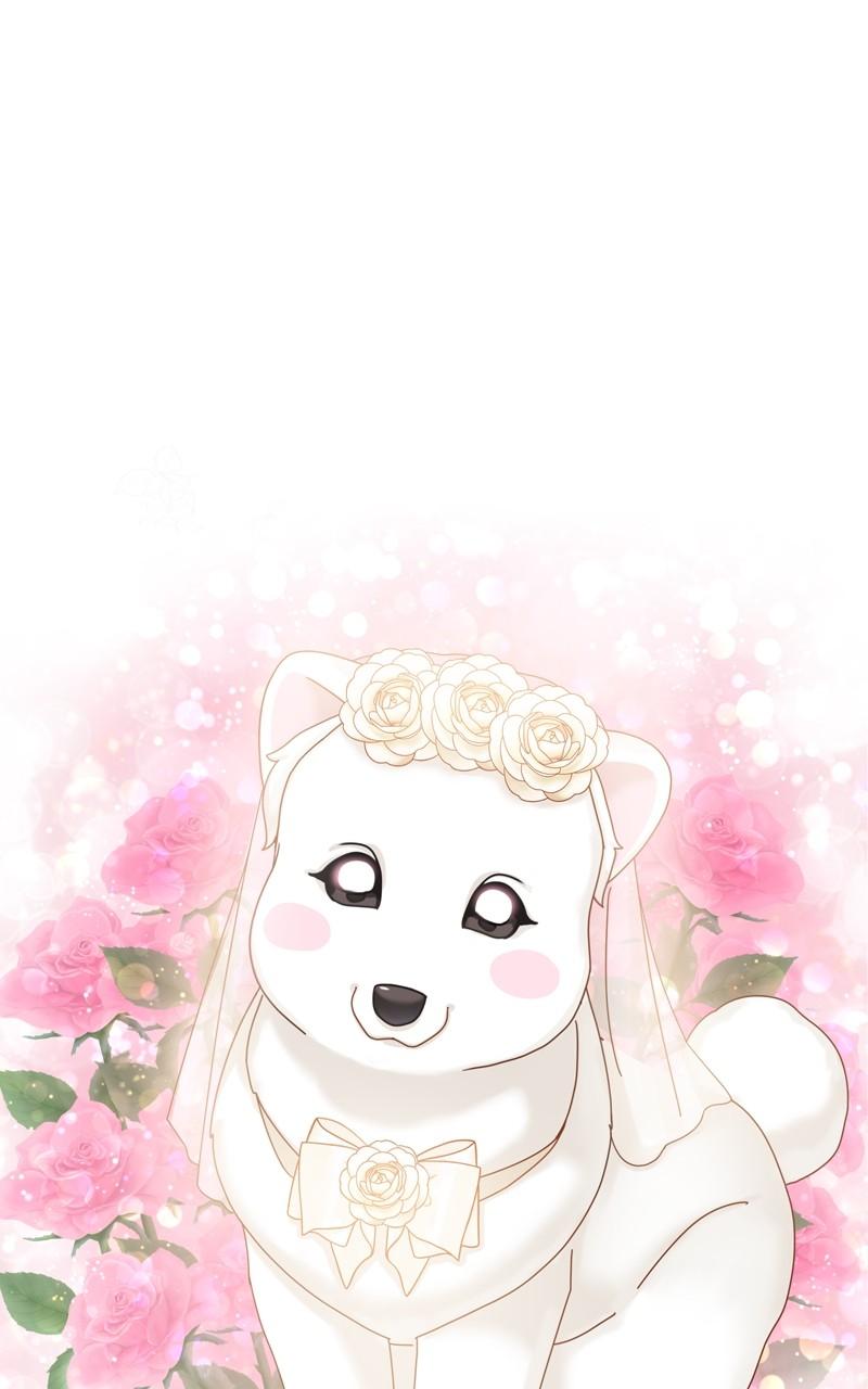 The Dog Diaries Chap 171 - Next Chap 172