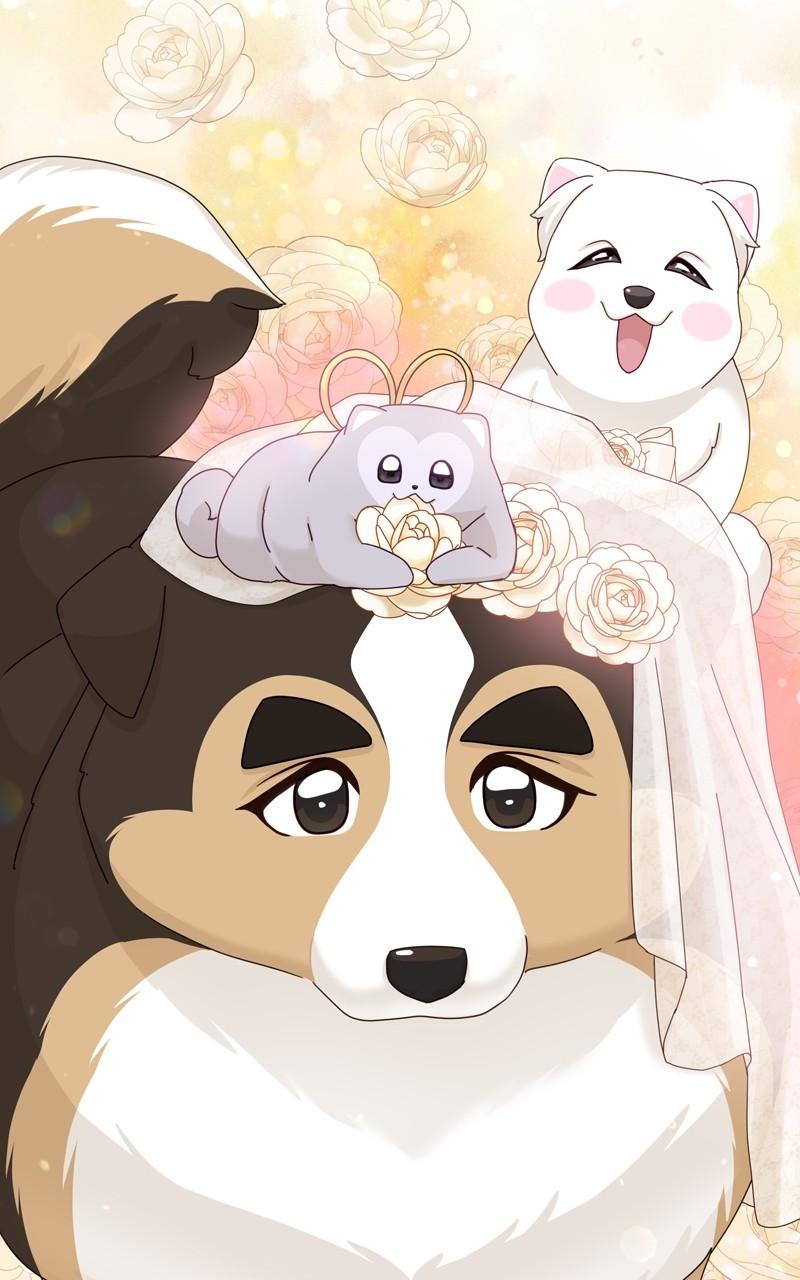 The Dog Diaries Chap 171 - Next Chap 172