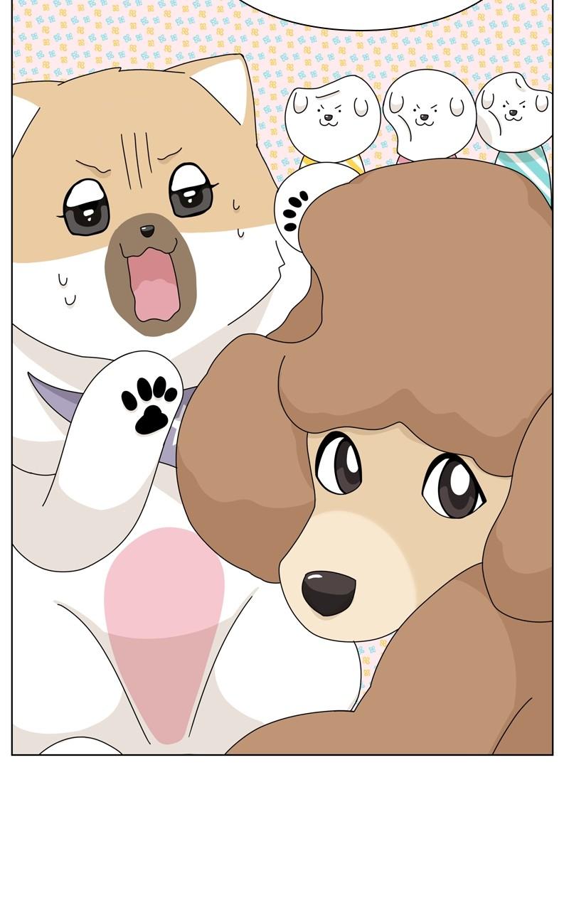 The Dog Diaries Chap 185 - Next Chap 186
