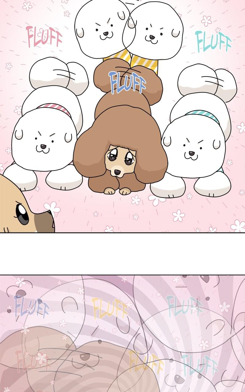The Dog Diaries Chap 185 - Next Chap 186