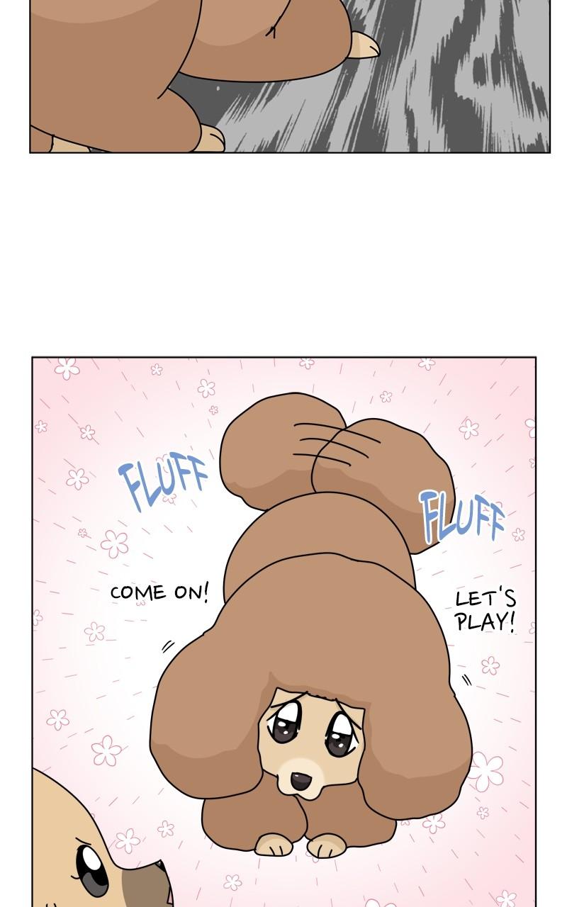 The Dog Diaries Chap 185 - Next Chap 186