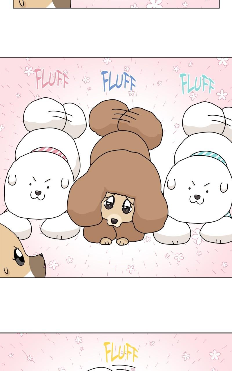 The Dog Diaries Chap 185 - Next Chap 186