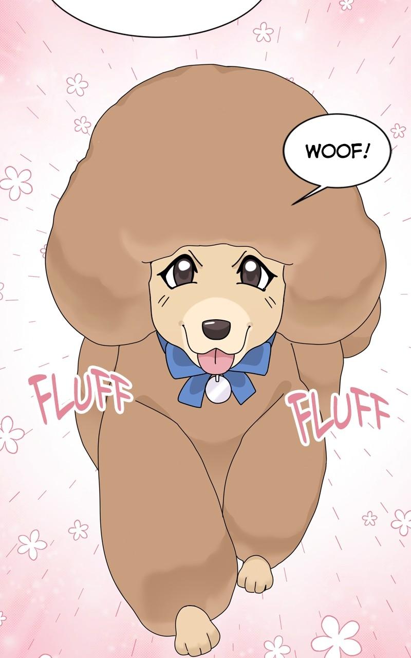 The Dog Diaries Chap 185 - Next Chap 186