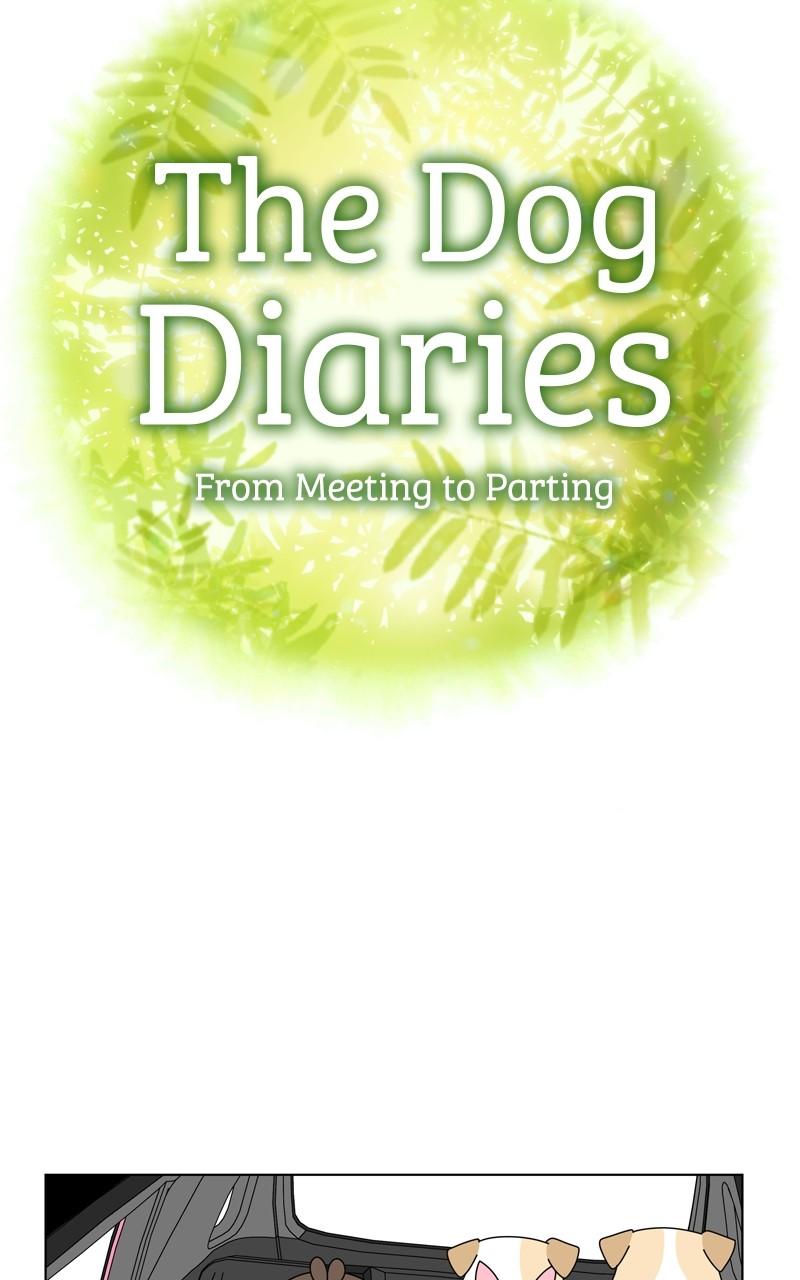 The Dog Diaries Chap 182 - Next Chap 183