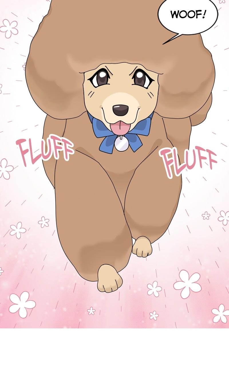 The Dog Diaries Chap 184 - Next Chap 185
