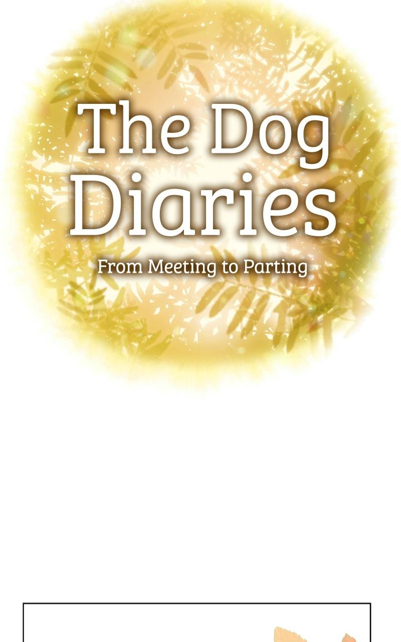 The Dog Diaries Chap 186 - Next Chap 187