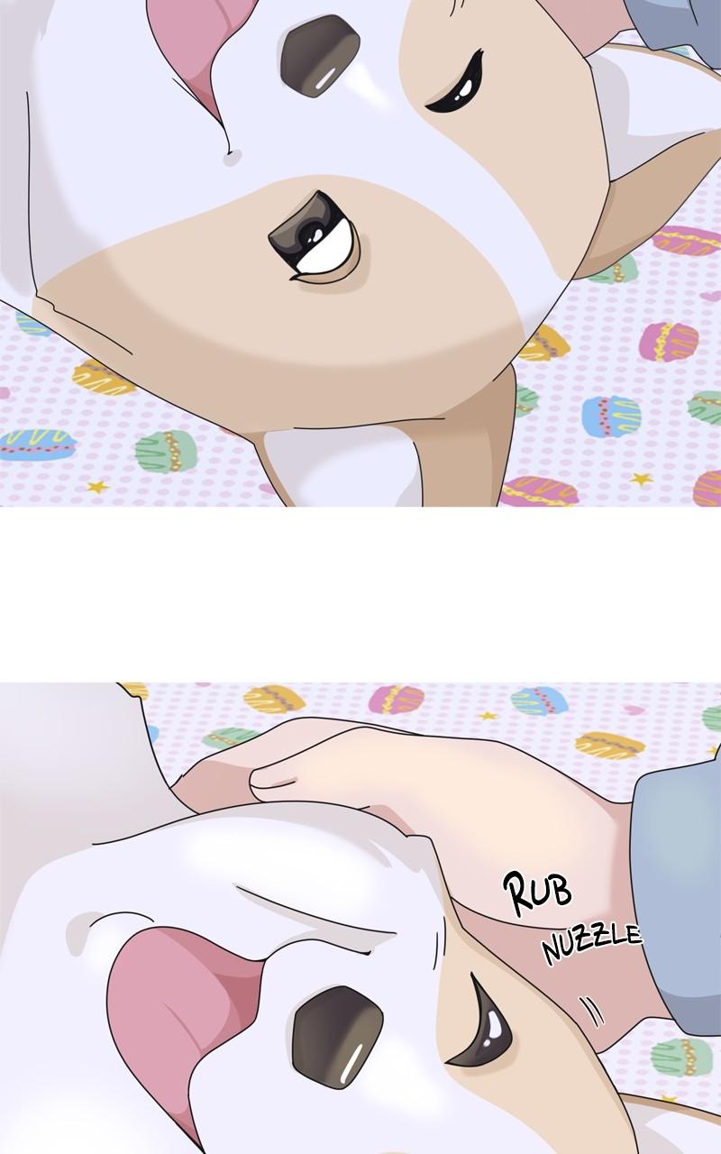 The Dog Diaries Chap 186 - Next Chap 187
