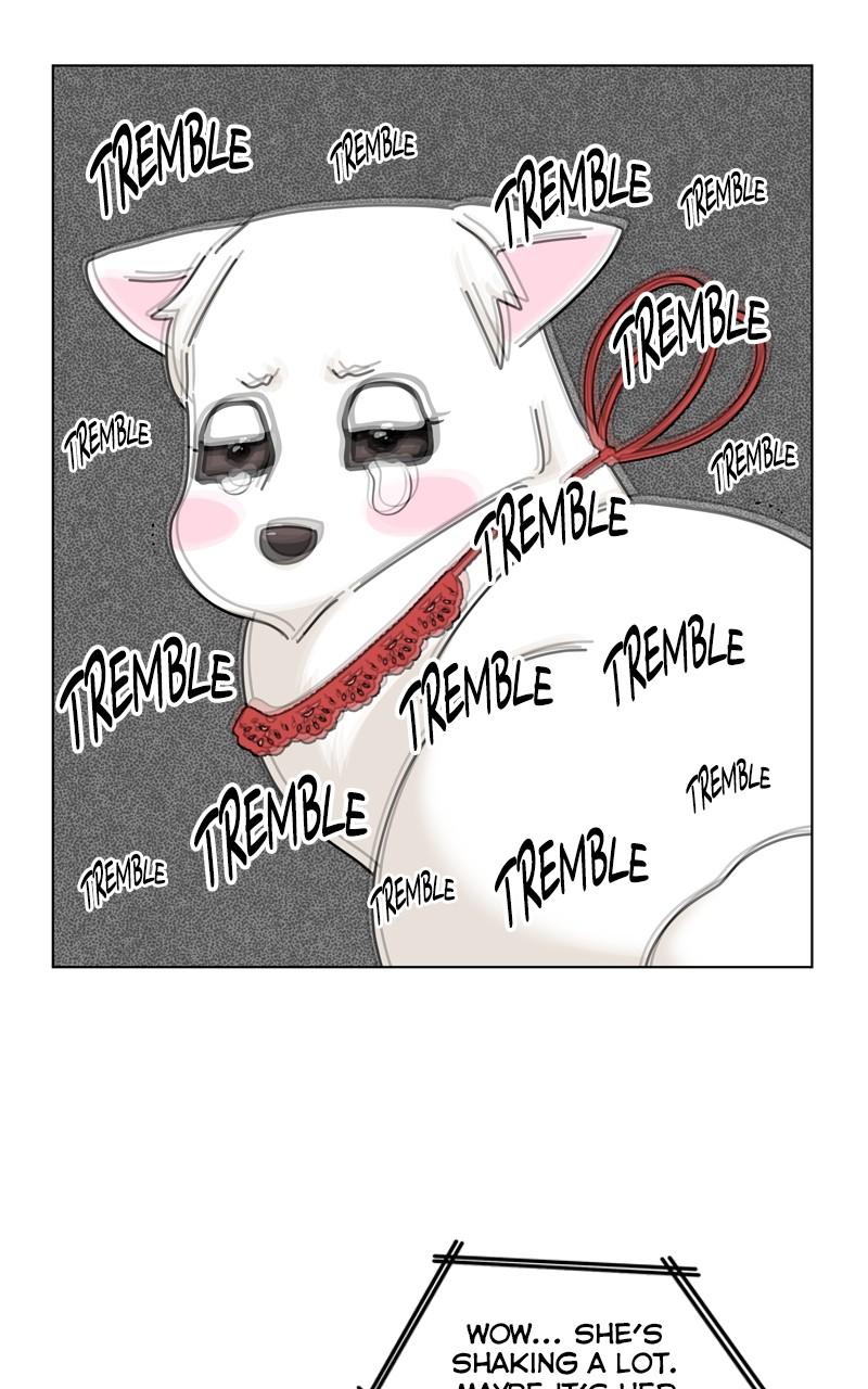 The Dog Diaries Chap 179 - Next Chap 180